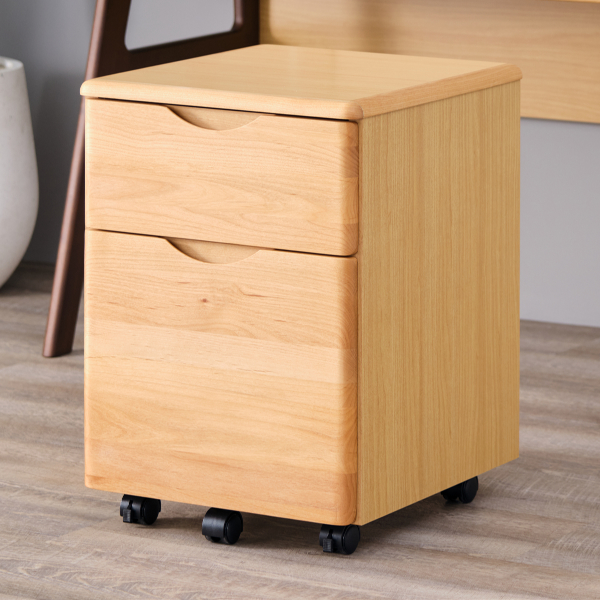 10258828_ashi_wagon_na_3 10258828_ashi_wagon_na_3