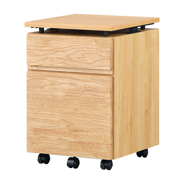 10258903_iwaki_wagon_lbr_2 10258903_iwaki_wagon_lbr_2